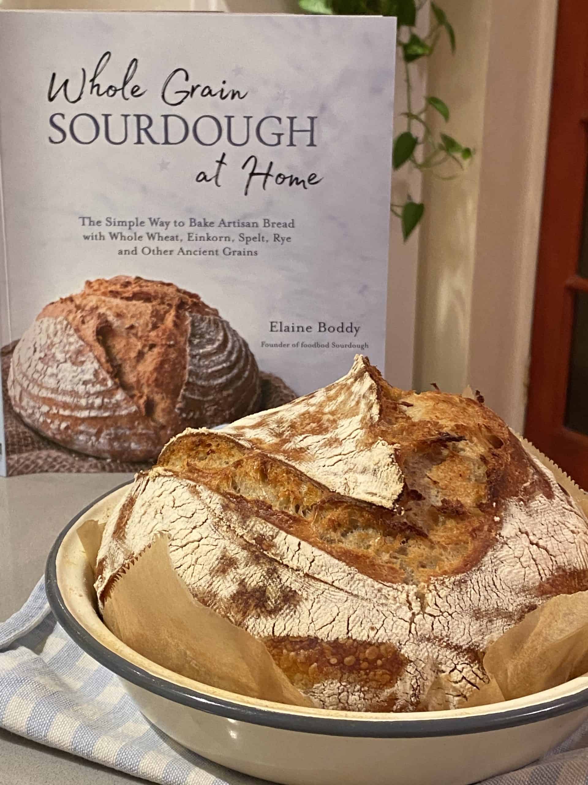 Whole Grain Sourdough at Home by Elaine Boddy: cookbook review