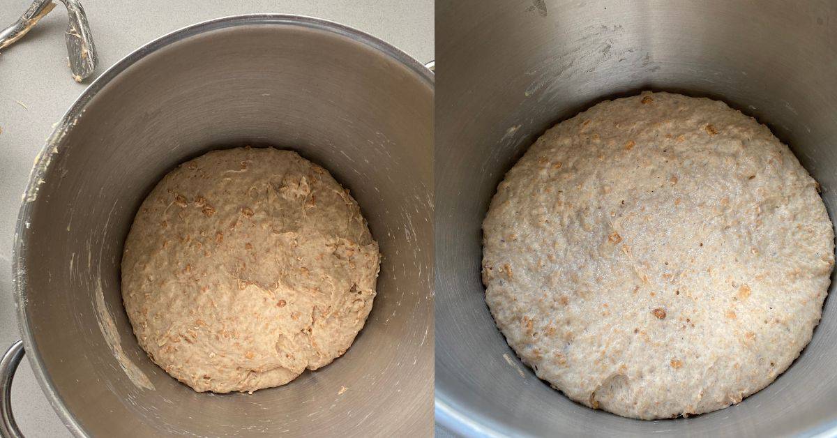 Wholegrain dough in a mixing bowl left to proof.